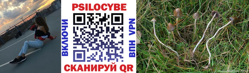 Псилоцибиновые грибы Psilocybe  цены   Кирс 
